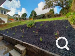 Garden Clean up Botany, Hedge & Tree Trimming, Lawnmowing and more. Eastern Property Services