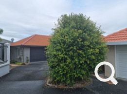 Garden Clean up Botany, Hedge & Tree Trimming, Lawnmowing and more. Eastern Property Services