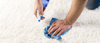 Clean My Carpet, Carpet Cleaning St Heliers, Carpet Drying Pakuranga, Carpet Stretching Botany