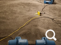 Carpet Drying
