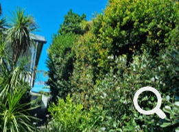 Garden Clean up Botany, Hedge & Tree Trimming, Lawnmowing and more. Eastern Property Services