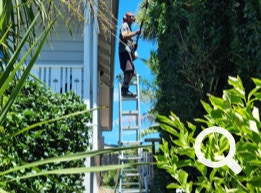 Garden Clean up Botany, Hedge & Tree Trimming, Lawnmowing and more. Eastern Property Services